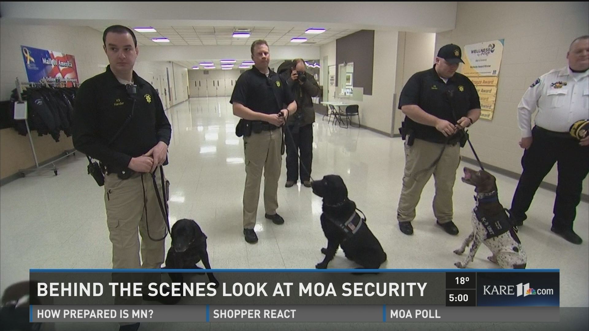 Mall of America Remains Safe, Security Expert Says