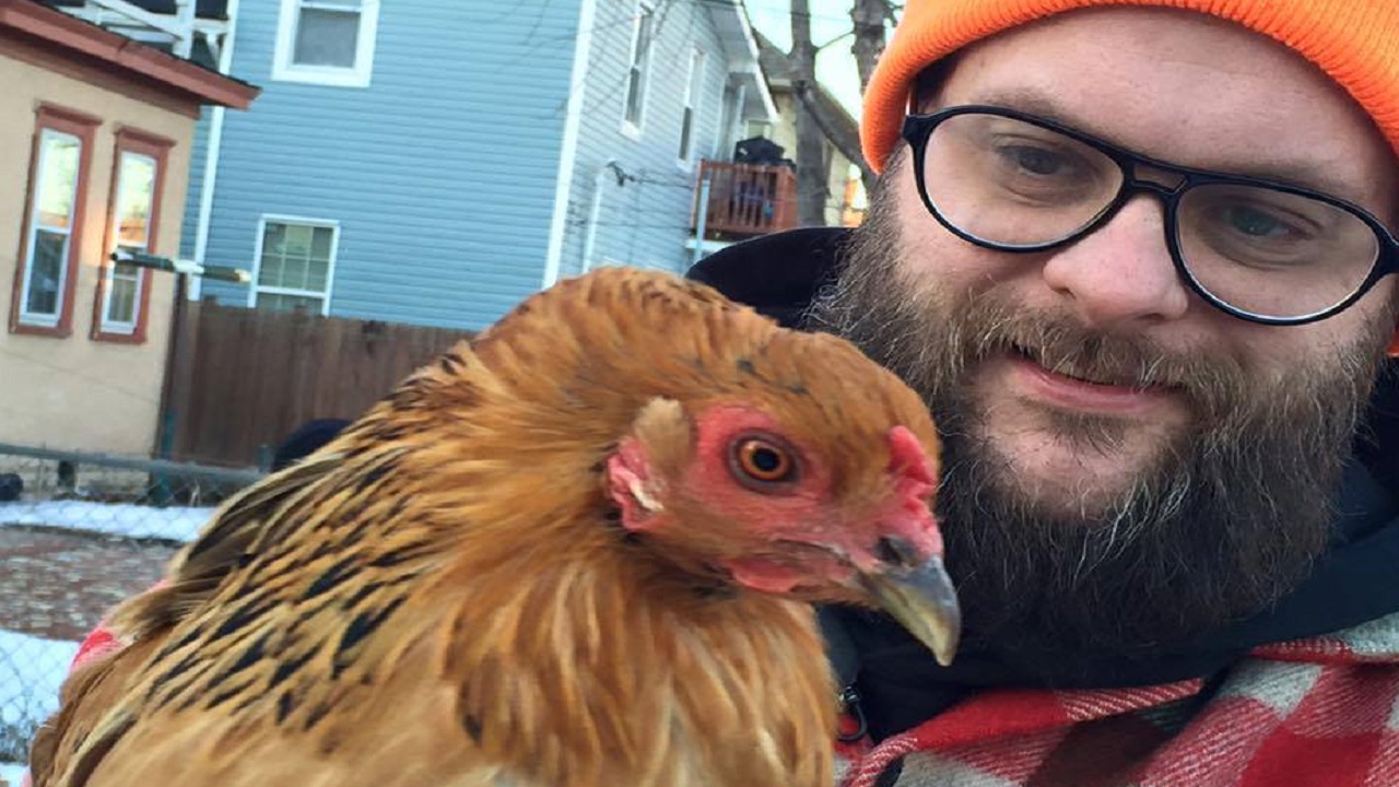 Backyard chickens soon could be easier to own in Minneapolis