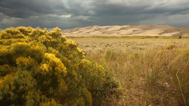 NPS free admission for its birthday