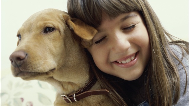 Bill allows for rescue of dogs...