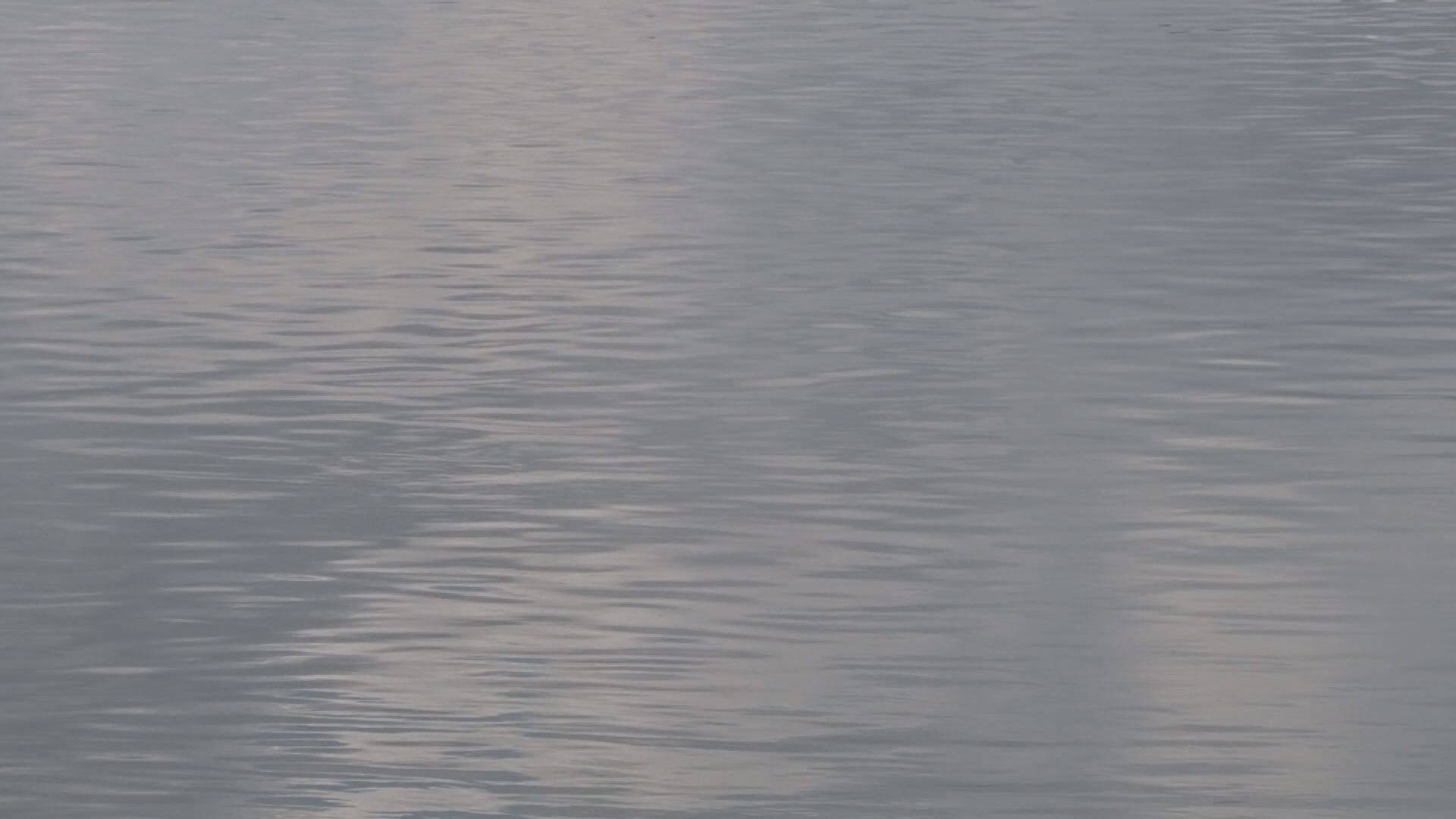 boy drowns moments after family's vacation started